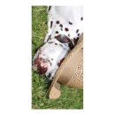 Banner "Dalmatian"  - Material: made of paper -...