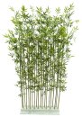 Bambus-Hecke für Indoor und Outdoor, Höhe 140 -...