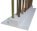 Bambus-Hecke für Indoor und Outdoor, Höhe 140 - 260 cm