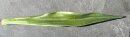 EUROPALMS Aloe leaf (EVA), artificial, green, 60cm