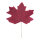 Maple leaf one-sided - Material: out of paper - Color: bordeaux - Size: 100x80cm X Blattgröße: 80x63cm Stiel 45cm