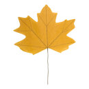 Maple leaf one-sided - Material: out of paper - Color:...