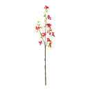 Berry twig  - Material: out of plastic - Color: red -...