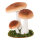 Group of birch mushrooms 3-fold - Material: out of styrofoam - Color: brown/white - Size: 16x15x17cm