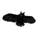 Owl  - Material: out of styrofoam/feathers - Color: black...