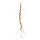 Corkscrew twigs out of plastic     Size: 170cm    Color: brown