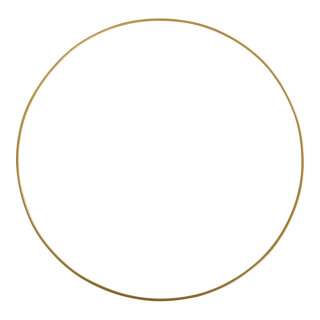 Metal ring for placing shop window decoration     Size: Ø 60cm, thickness: 5mm    Color: gold