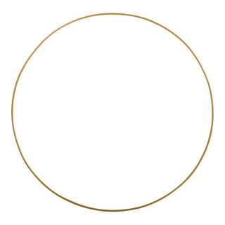 Metal ring for placing shop window decoration     Size: Ø 60cm, thickness: 5mm    Color: gold