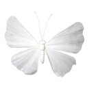 Butterfly paper with wire frame     Size: 90cm    Color:...