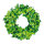 Butterfly wreath  - Material: pvc styrofoam wreath - Color: green - Size: Ø 50cm