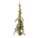 Fir tree "spruce" 483 tips - Material: out of...
