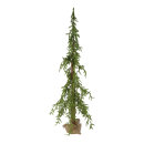 Fir tree "spruce" 622 tips - Material: out of...