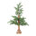 Tannenbaum      Groesse: 245 Tips, aus Kunststoff, Holzfuß, Spritzguss Tips, 90cm    Farbe: grün/braun