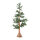 Tannenbaum      Groesse: 365 Tips, aus Kunststoff, Holzfuß, Spritzguss Tips, 125cm    Farbe: grün/braun
