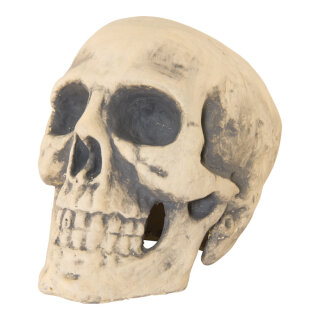 Totenkopf aus Styropor     Groesse: 42x38x38cm    Farbe: beige