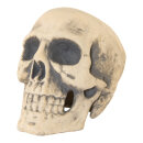 Totenkopf aus Styropor     Groesse: 42x38x38cm    Farbe:...
