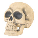 Skull  - Material: out of styrofoam - Color: beige -...