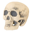 Skull  - Material: out of styrofoam - Color: beige -...