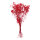 Dried flowers  - Material:  - Color: red - Size: 65-75cm X ca. 110g