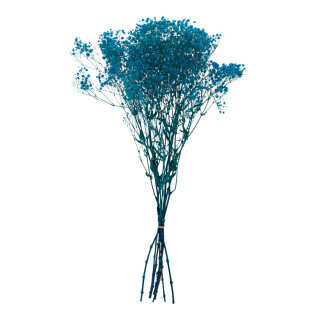 Dried flowers      Size: 65-75cm, ca. 110g    Color: turquoise