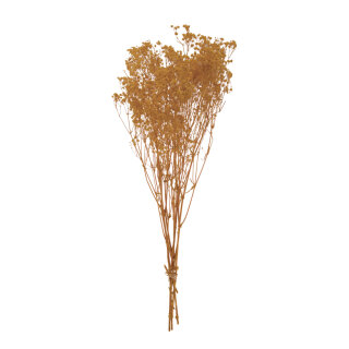 Dried flowers      Size: 65-75cm, ca. 110g    Color: natural-coloured