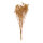 Trockenblumen-Bündel      Groesse: 65-75cm, ca. 110g    Farbe: naturfarben