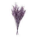Dried flowers,   Size:;70-80cm Color:purple