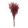 Trockenblumen-Bündel  Abmessung: 70-80cm, ca. 120g Farbe: rot
