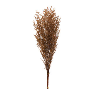 Dried flowers,   Size:;70-80cm Color:brown/orange