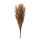 Dried flowers,   Size:;70-80cm Color:brown/orange