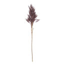 Twig of dried grass  - Material: out of natural material...