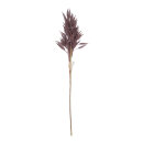 Trockengras-Zweig aus Naturmaterial     Groesse: 80cm...