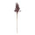Trockengras-Zweig aus Naturmaterial     Groesse:80cm    Farbe:braun