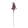 Twig of dried grass  - Material: out of natural material - Color: brown - Size: 80cm