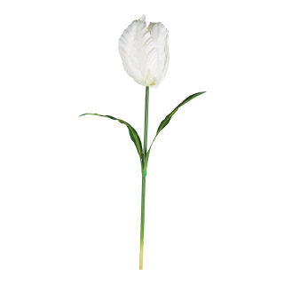 Tulip out of plastic/artificial silk, with stem     Size: 130cm, flower: Ø 20cm    Color: white