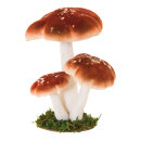 Group of forest mushrooms 3-fold - Material: out of...