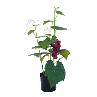 Weintraubenpflanze aus Kunststoff/Kunstseide, im Topf, mit roten Weintrauben     Groesse: 56cm, Topf: 10x10cm    Farbe: grün/rot