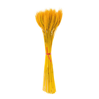 Weizenbündel ca. 100 Halme, aus Naturmaterial, gebleicht     Groesse: 50cm    Farbe: gelb