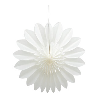 Flower rosette out of paper, with hanger, foldable, self-adhesive     Size: 30cm    Color: white