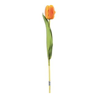 Tulip on stem out of plastic/artificial silk, flexible, real-touch effect     Size: 36cm, Ø4cm blossom    Color: orange