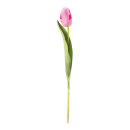 Tulip on stem out of plastic/artificial silk, flexible,...
