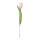 Tulip on stem out of plastic/artificial silk, flexible, real-touch effect     Size: 36cm, Ø4cm blossom    Color: rose