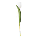 Tulip on stem out of plastic/artificial silk, flexible,...