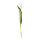 Tulip on stem out of plastic/artificial silk, flexible, real-touch effect     Size: 36cm, Ø4cm blossom    Color: white