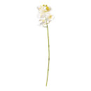 Orchid with 5 flowers & buds, out of artificial...