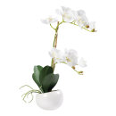 Orchid in pot out of artificial silk/plastic, pot out of...