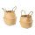 Basket set of 2 pieces, out of seagrass, with handles     Size: M: 27x23cm, L: 32x27cm    Color: natural-coloured