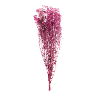 Trockenblumen-Bündel      Groesse: 75-80cm, ca. 120g    Farbe: fuchsia