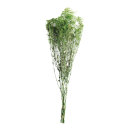 Bundle of dried flowers      Size: 75-80cm, ca. 120g...