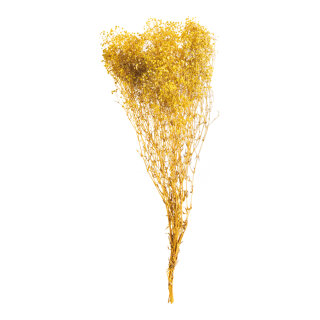 Bundle of dried flowers      Size: 75-80cm, ca. 120g    Color: yellow